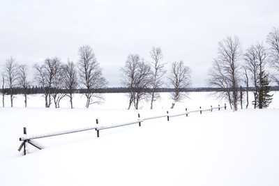 Field boundaries, Ylläsjärvi in Finnish Lapland during the winter in Finland