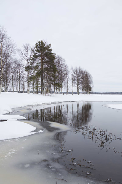 Edge of Ylläsjärvi Lake in Finnish Lapland during the winter in Finland