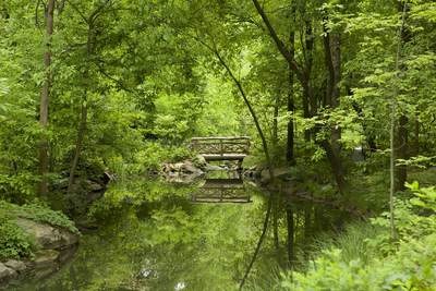 A verdant green woodland glade with a wooden bridge over a small lake reflecting the trees, in a quiet spot in Central Park in New York City on Manhattan island in the United States of America USA U.S.A.