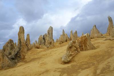 The Pinnacles with the grey clouds of an approaching storm - limestone formations within Nambung National Park, near the town of Cervantes in Western Australia