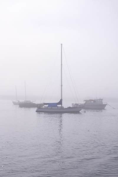 Boats moored in fog in Morro Bay harbour partially designated as a state and national bird sanctuary and also declared a California Marine Reserve by the California Fish and Game Commission in the United States of America in the USA U.S.A.