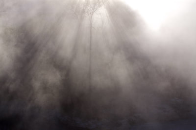 Sunlight casts shadows of the surrounding trees on steam rising from a small lake of boiling water (geothermal activity) in Kuirau Public Park in the centre of Rotorua on North Island New Zealand