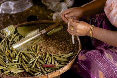 A woman hand rolls locally grown tobacco into cigars, at a small workshop in the middle of Inle Lake in Myanmar (Burma)