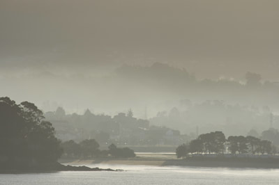 Misty morning in Baiona with buildings and street lights and a calm Atlantic sea in the foreground and wooded hills behind in Galicia in Northern Spain, Europe