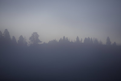 Silhouettes of trees highlighted by mist rising from Yellowstone river, formed from the difference in temperature from the cold over water and hot geothermal features along the river in Yellowstone National Park in Wyoming in the United States of America USA U.S.A.
