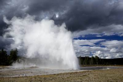 Daisy Geyser (part of an underground linked system of geysers and hot springs), erupting at an angle up to a height of 23 meters (75 feet) for 3-5 minutes (occurs every 2-4 hours), in the Upper Geyser Basin near Old Faithful in Yellowstone National Park in Wyoming in the United States of America USA U.S.A.