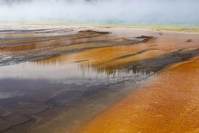 Run off from the Grand Prismatic Spring with steam rising - the largest hot spring in Yellowstone National Park (75-100 meters wide) - with streams of yellow, orange and brown coloured by heat adapted algae and thermophiles (hyperthermophilic bacteria tolerant to high temperatures and extreme acidic or alkaline environments), in the Midway Geyser Basin in Yellowstone National Park in Yellowstone National Park in Wyoming in the United States of America USA U.S.A.