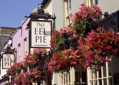 Flower baskets on the Eel Pie pub in Church Street in Twickenham, London borough of Richmond in the United Kingdom